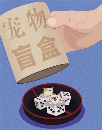 畸形的"宠物盲盒"缘何"畸形"
