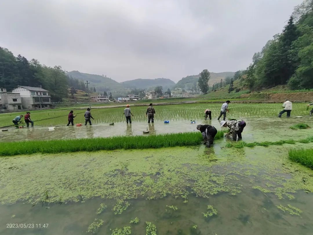 織金縣以那鎮: