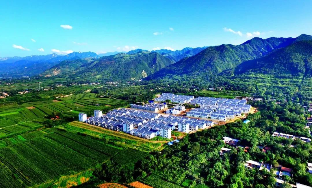 子午街道办积极探索"四个四"工作机制,全面推进生活垃圾治理试点镇