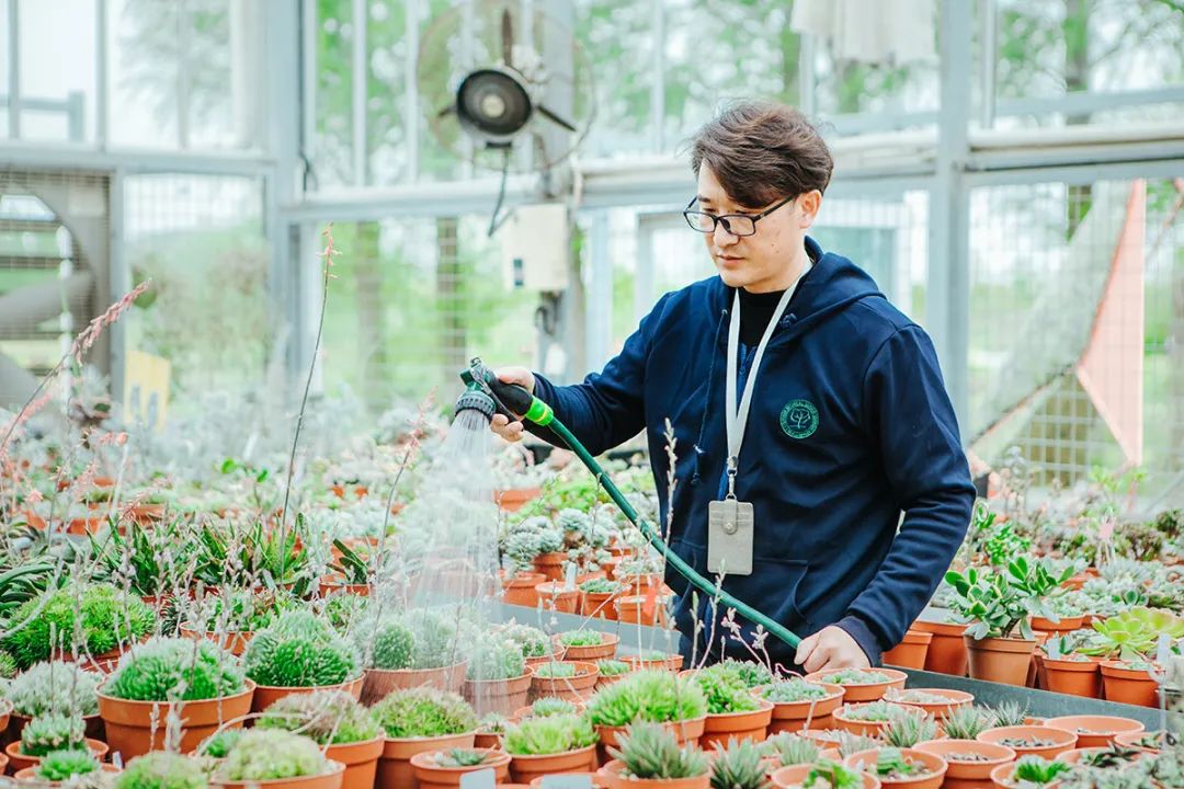 辰山植物园专家"坐诊","植物专科医院"下周即将开诊