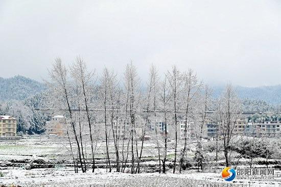 隆回县金石桥镇:立春首雪