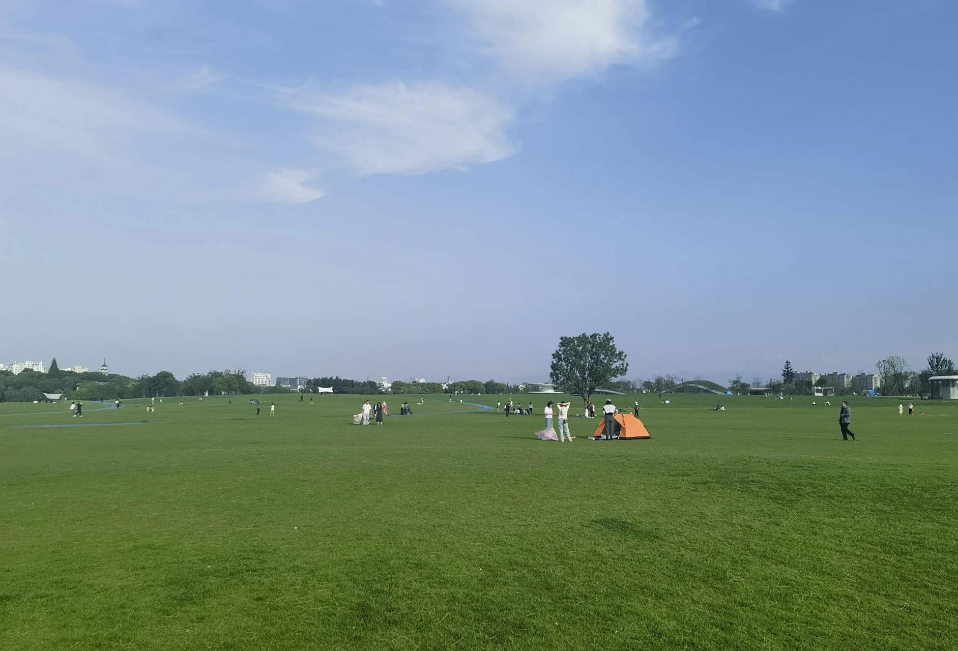 浙江衢州,西区大草原.