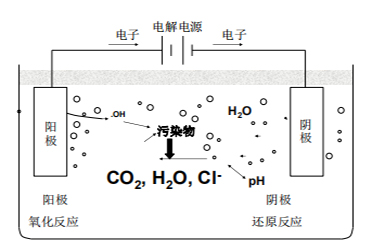 均相催化反应器(电催化装置)