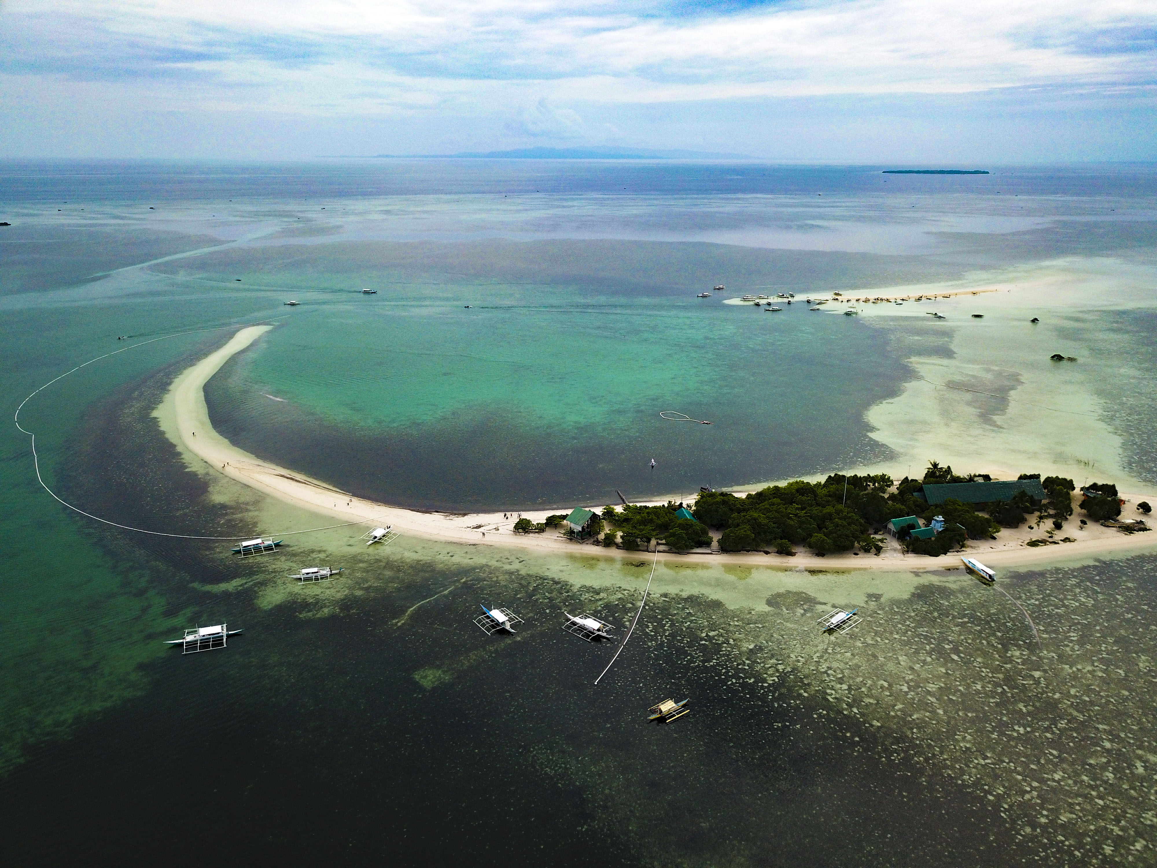 菲律宾薄荷岛旅游介绍:跳岛游,陆地游,鲸鲨一日游