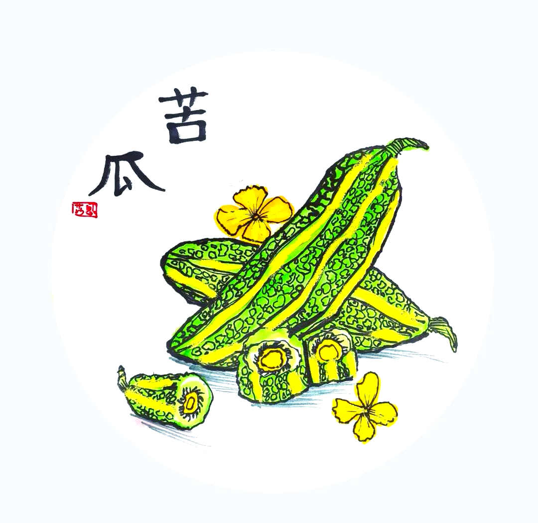 探索苦瓜魅力:外观,苦味与艺术表现