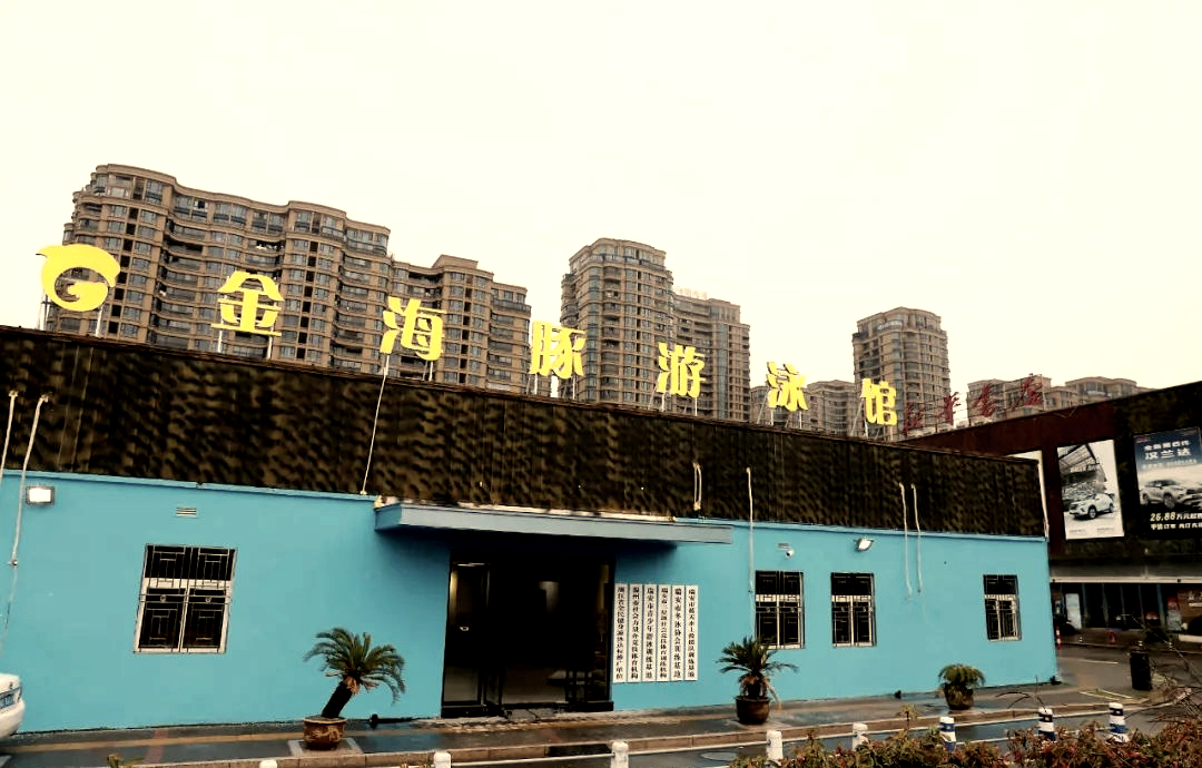 金海豚新场馆开放 体验国际标准游泳体验