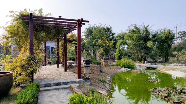 从"一时美"转向"持久美"!河南沁阳市西向镇奏响美丽乡村"交响乐"