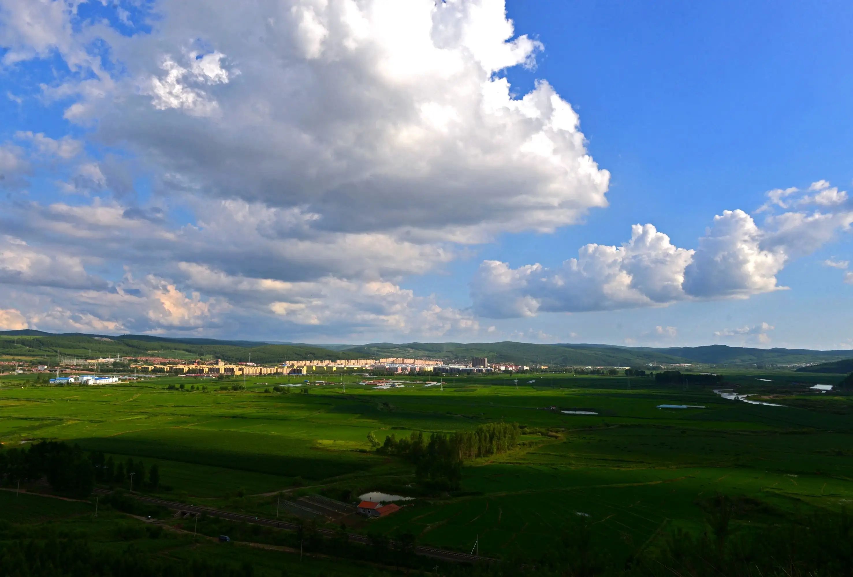 鸡西梨树区人力资源和社会保障局公开招聘劳动保障协理员11人