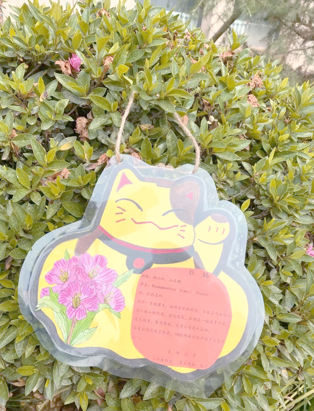 文峰小学举办植物名牌设计活动,培养学生热爱自然的情感与探究精神