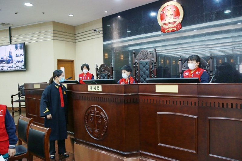 岳林中心小学:与法院"零距离"接触,做知法守法小公民