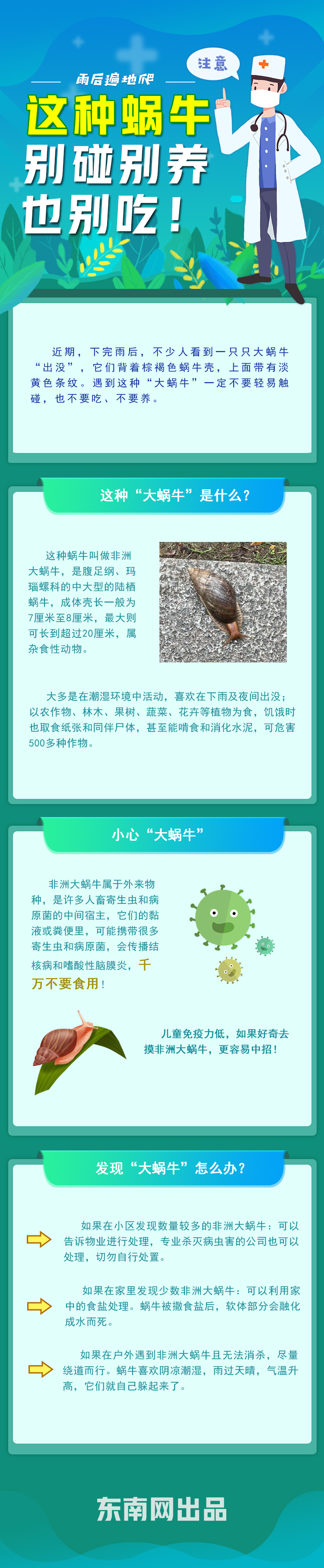 图解|雨后遍地爬,这种蜗牛别碰别养别吃!