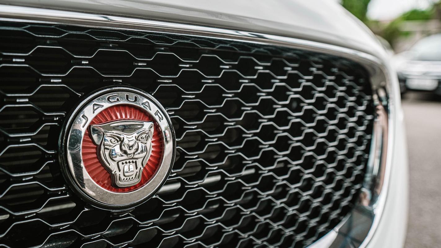 豹子头像的车是什么车