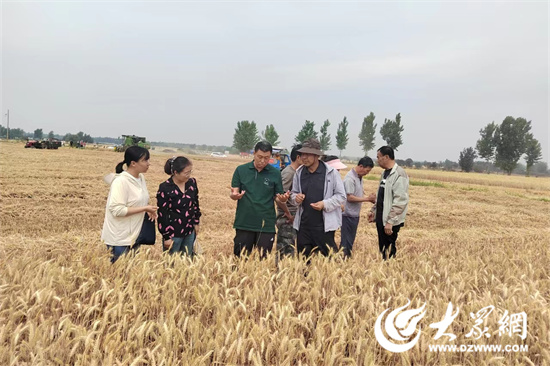 微山县韩庄镇开展2024年全国科技工作者日暨科技助农服务"三夏"生产