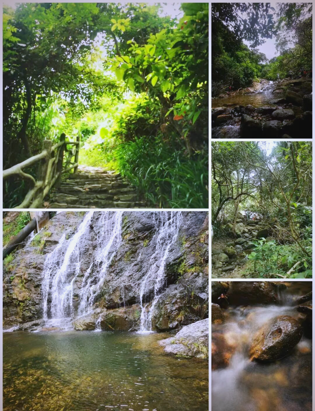 探秘梧桐山老虎涧:挑战极限的徒步旅行全攻略