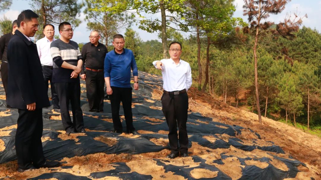 袁尚勇在扬武镇和龙泉镇调研时强调 聚焦主导产业 坚持绿色发展 推动