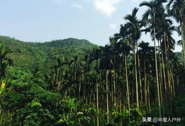 原始热带雨林,海南屯昌南吕岭探险旅游区攻略