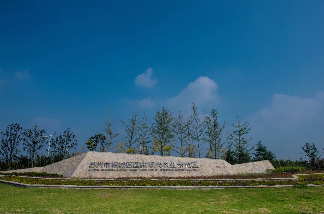 非凡十年 | 度假区(阳澄湖镇):高质量谱写新时代鱼米之乡苏州样板的