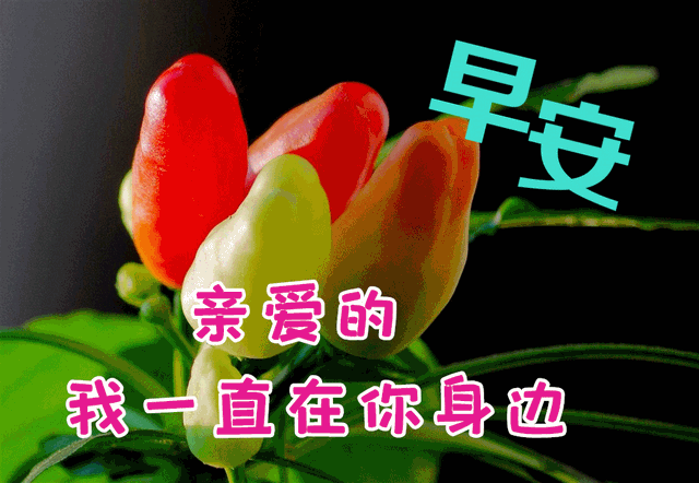 640_442gif 动态图 动图