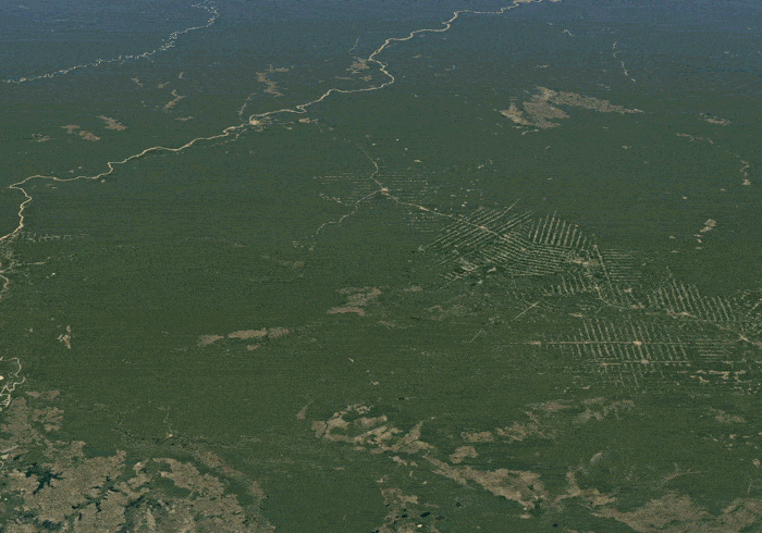 要探索 google 地球的「延迟摄影」功能,可以通过g.co/timelapse.