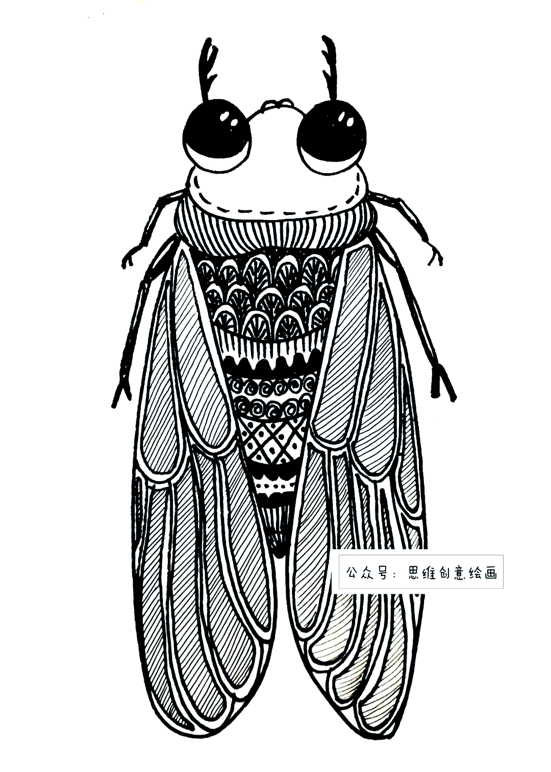 探索昆虫世界:线描蝉的绘制方法