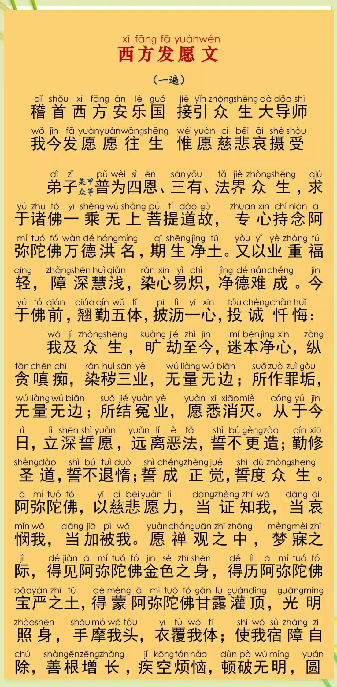 佛经念诵经文全集