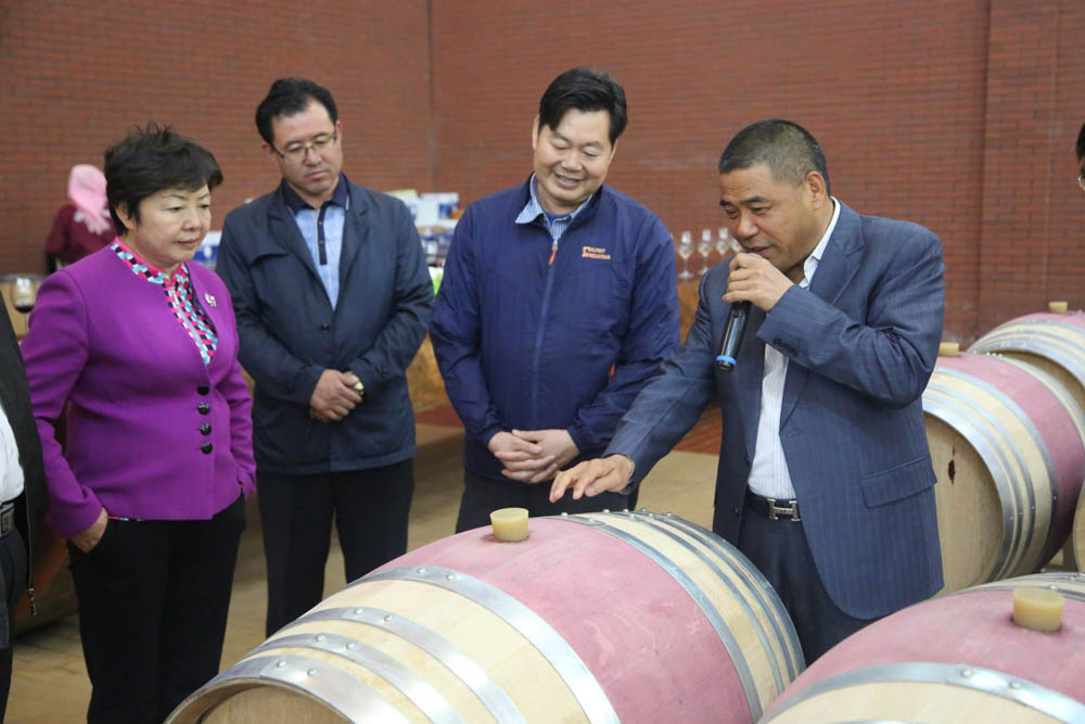 2亿买10万亩戈壁滩,3亿种下500多万棵树,陈德启的沙漠葡萄酒梦