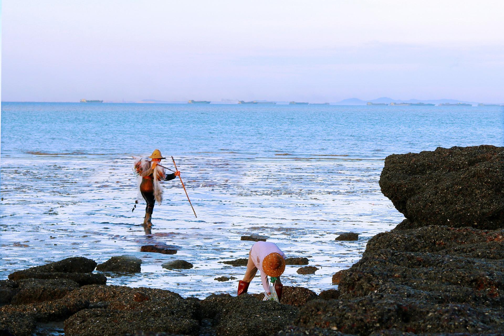 红岛赶海园图片