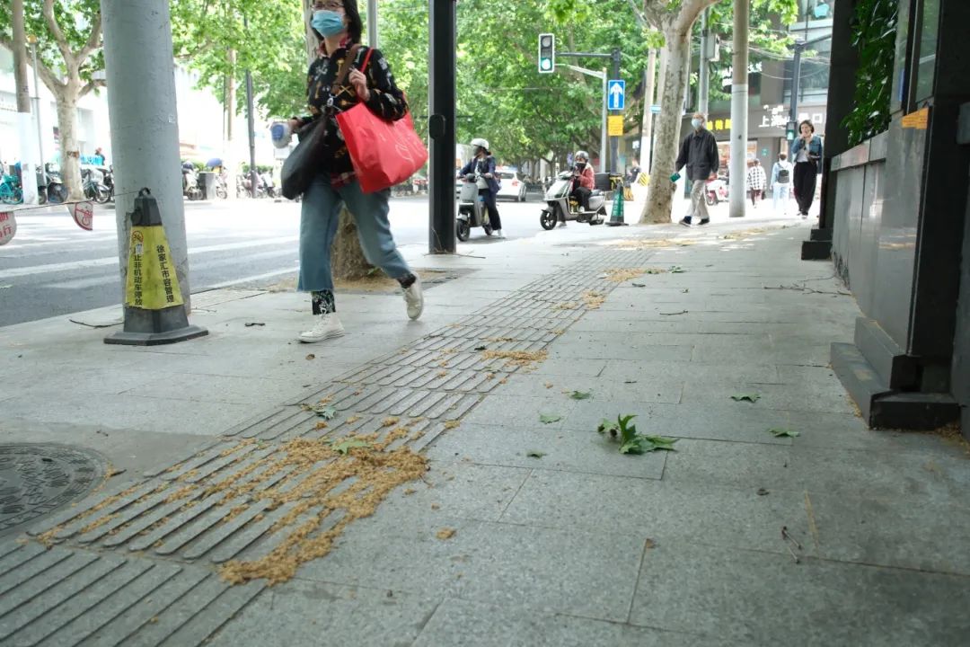 正在下毛毛雨的图片图片