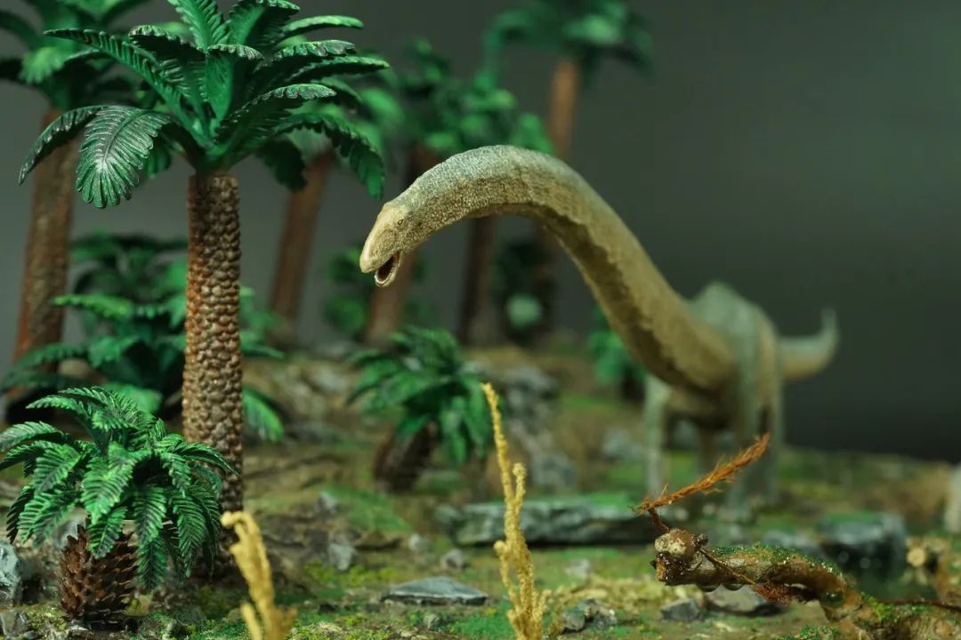 pnso博物馆系列新老马门溪龙