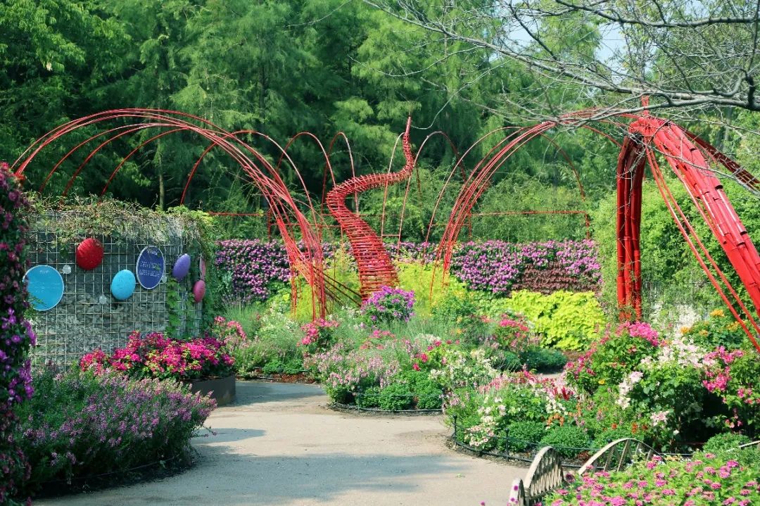 同圆生态梦,共赏金秋景|2021上海植物园秋季花展将于10月1日盛大开幕