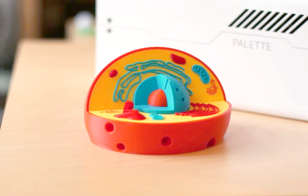 多种3d打印细胞模型,生动展示生物学知识