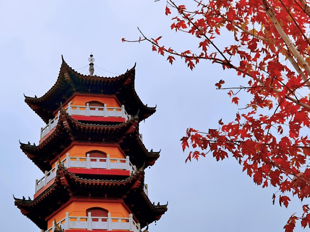 他来了他来了!华容禹山"泥鳅节"又要来了