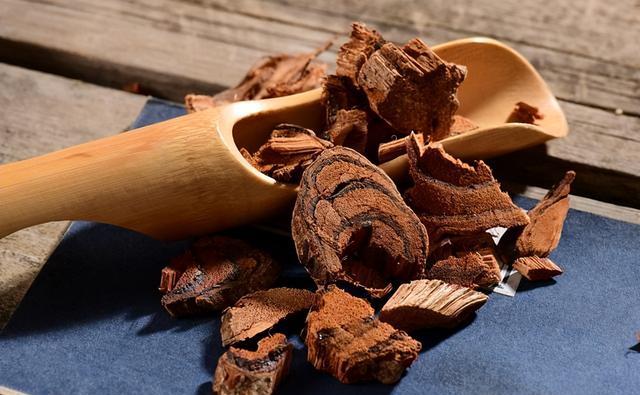 伸筋草配伍鸡血藤,可有效缓解痛风发作时的红肿热痛