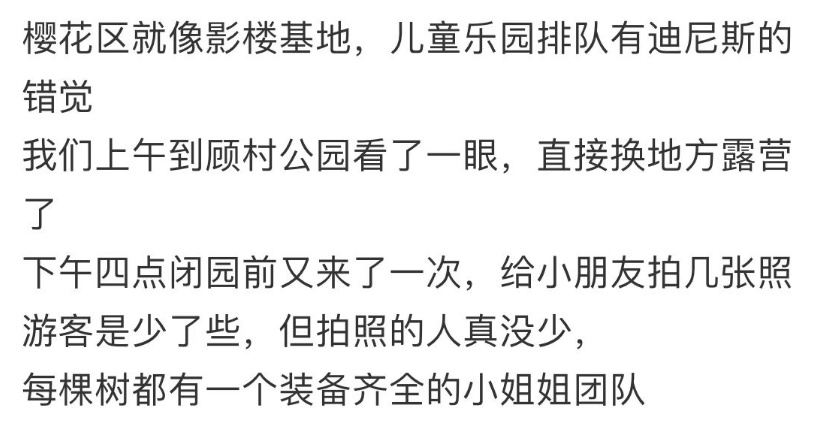 上海這個公園每棵櫻花樹都被佔領,還有小姐姐帶了梯子…網友吵翻