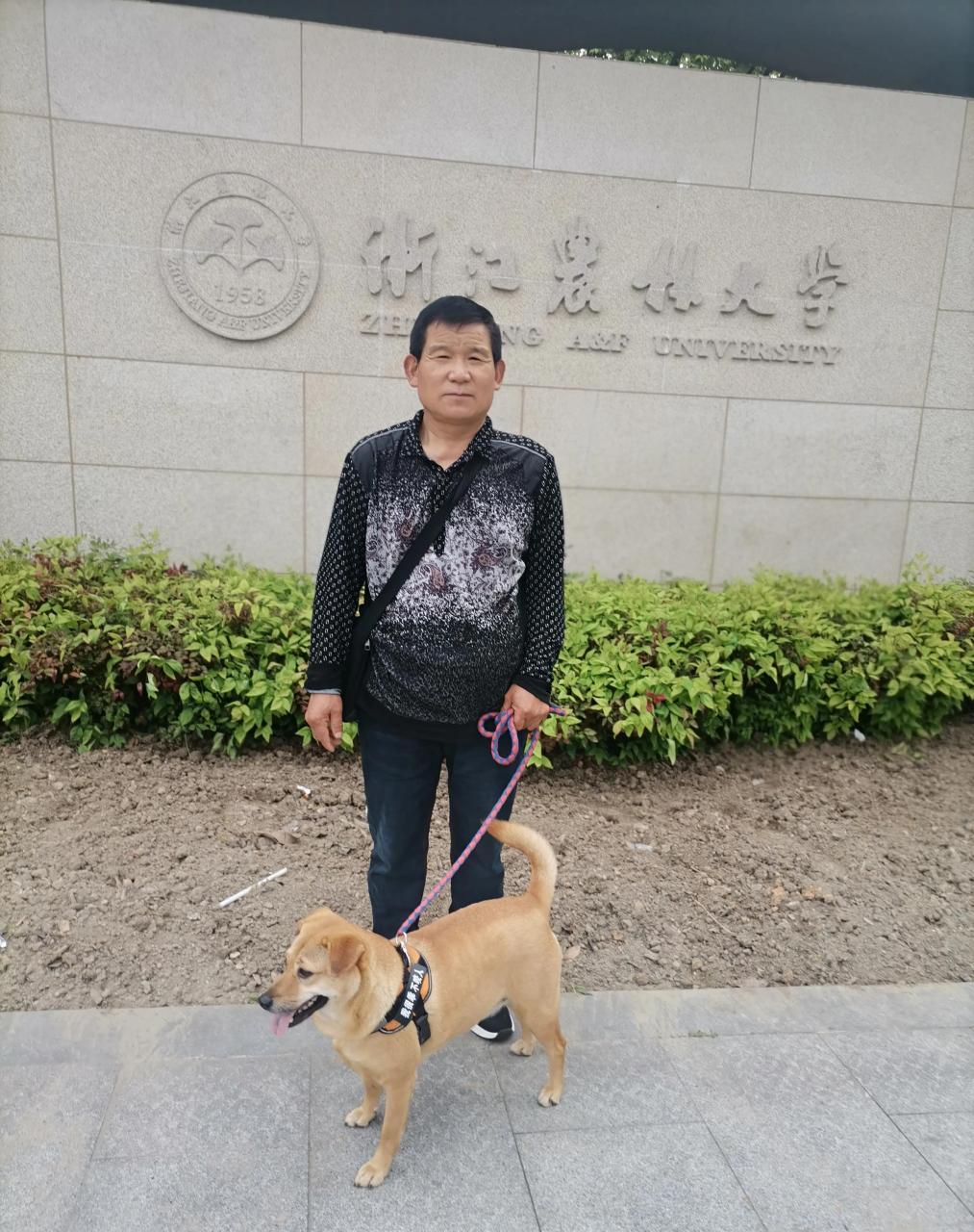 五一前在杭州临安区浙江农林大学附近住了一段时间,发现相邻的几条