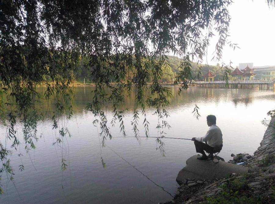 韩庆云|钓鱼
