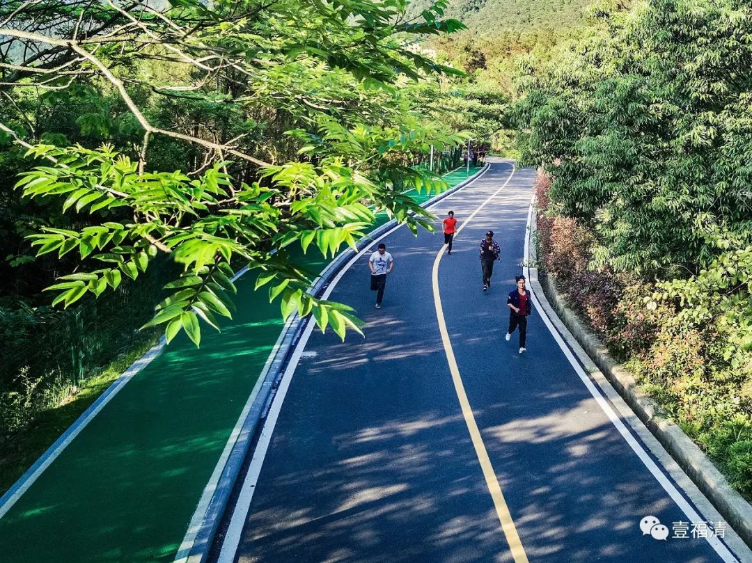 环石竹湖绿道一条条穿梭在景区内,公园里,山间江畔的绿道,犹如慢行的"