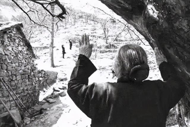 老树下,母亲的送别