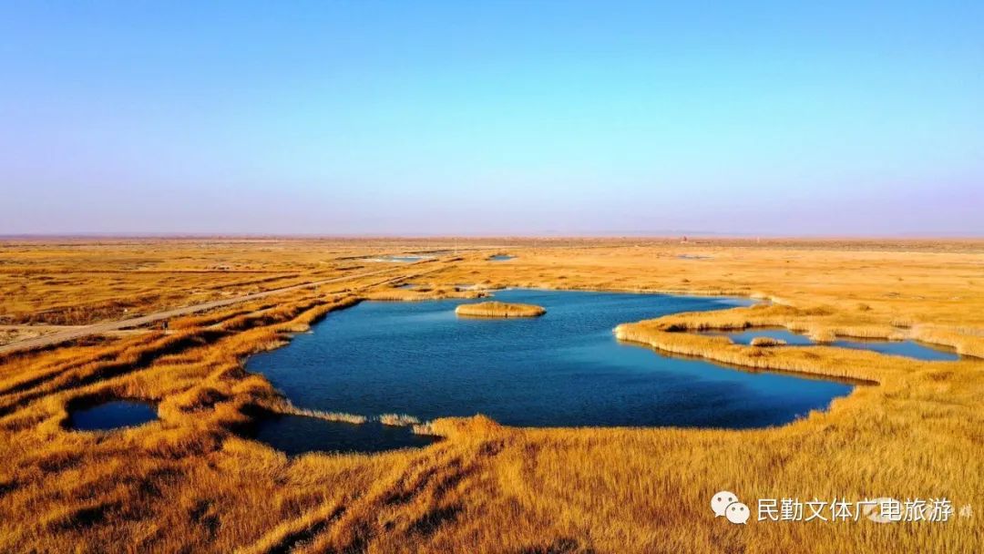 民勤青土湖:在这里,邂逅最美的初冬