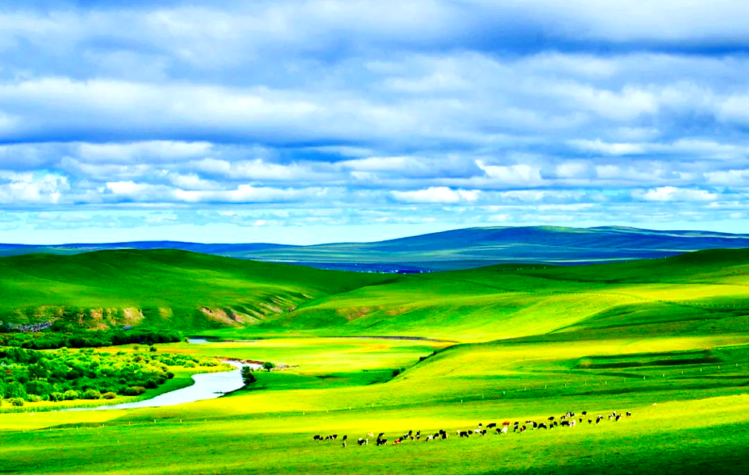 夏天,去探寻不一样的草原风光!