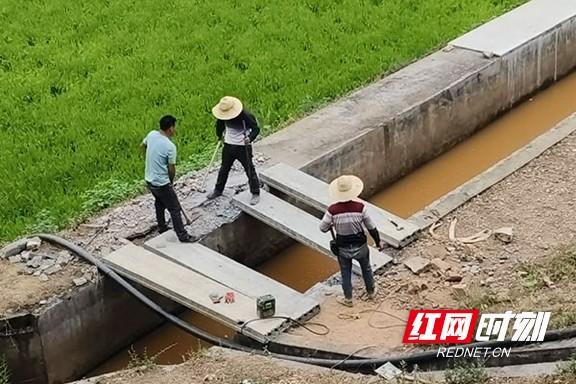 益陽市政協委員走進油草塘村開展