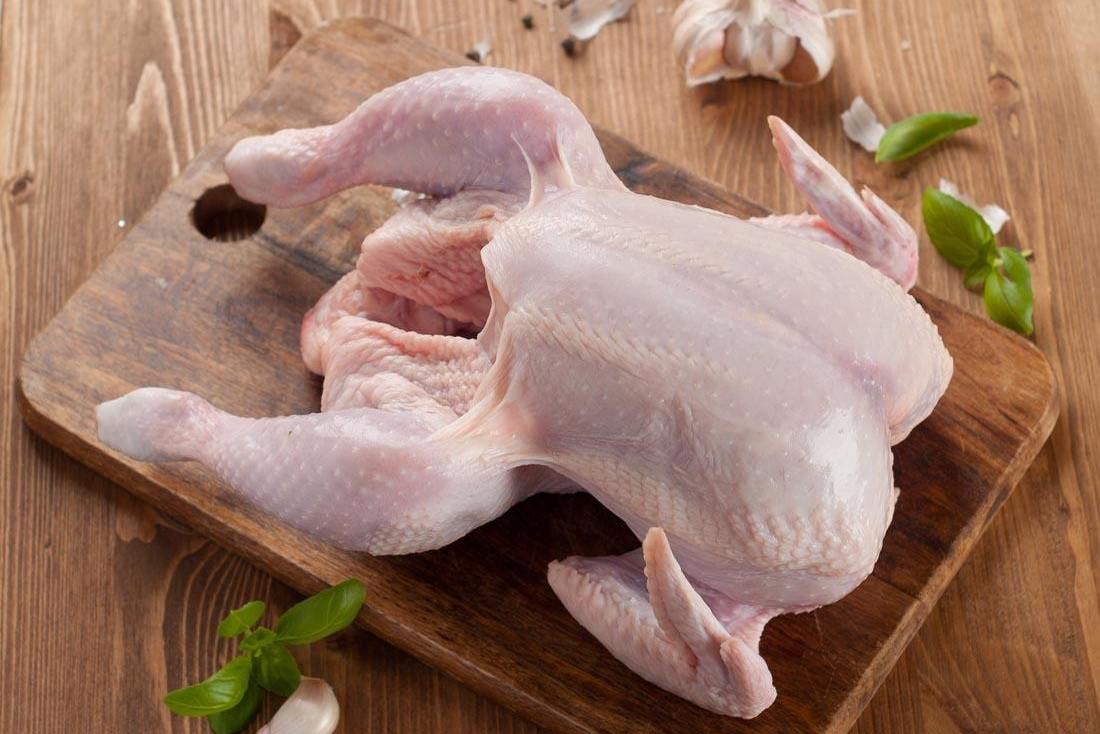 冻鸡鸡 - 热门商品专区