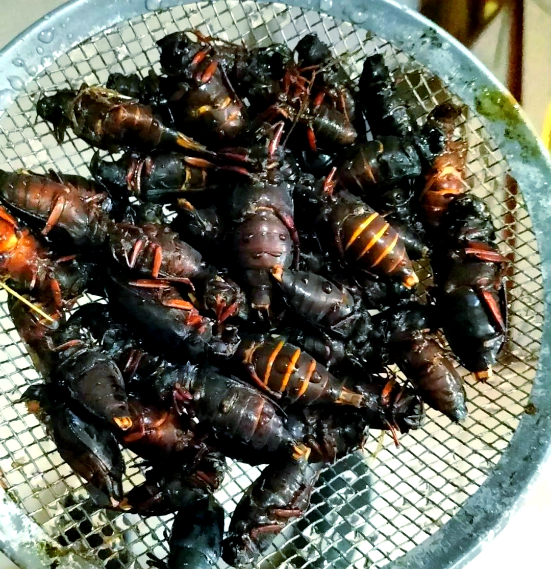 沂蒙山区的独特美食:山山牛的多样吃法
