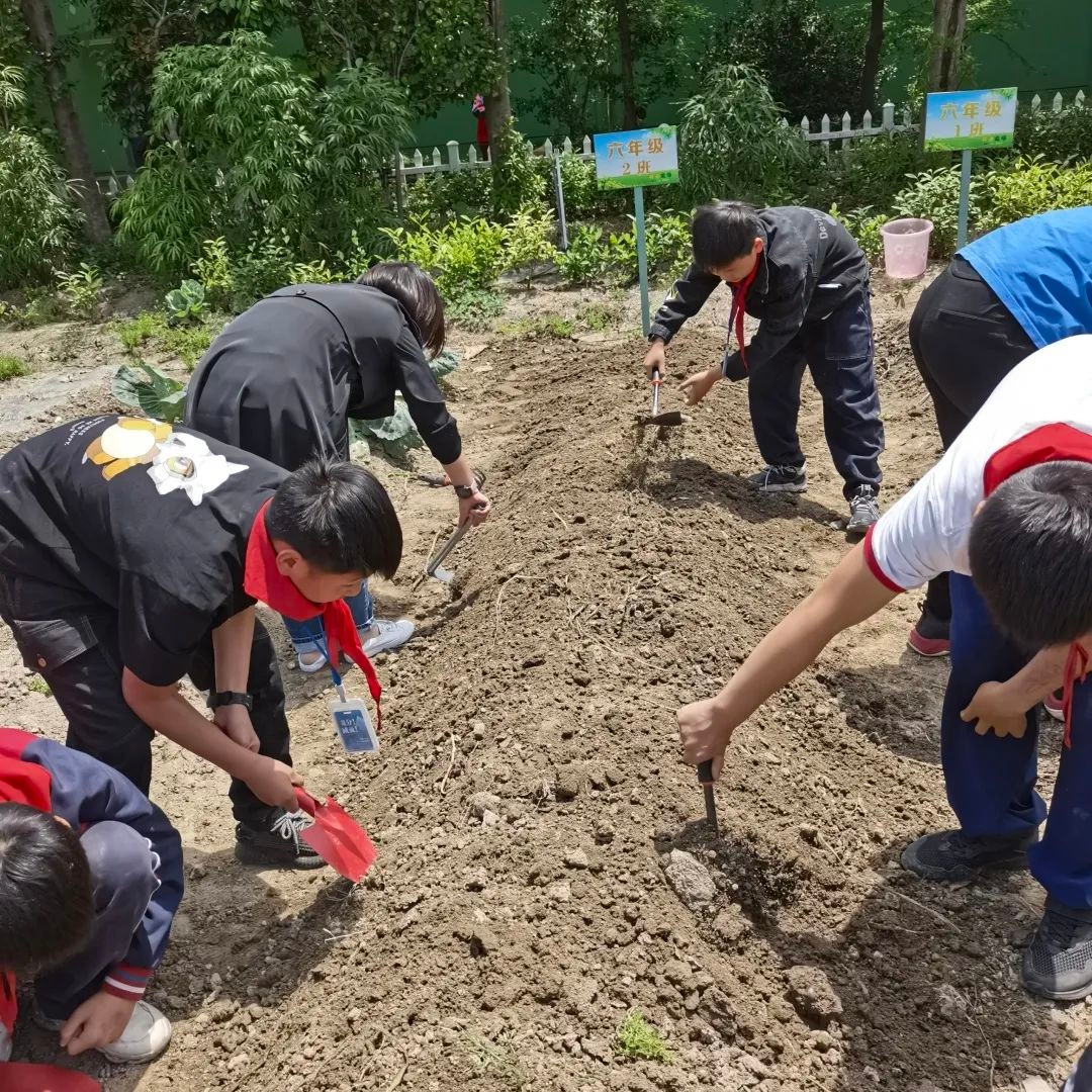 喜报又新增一批宁波市中小学劳动教育示范学校实践基地