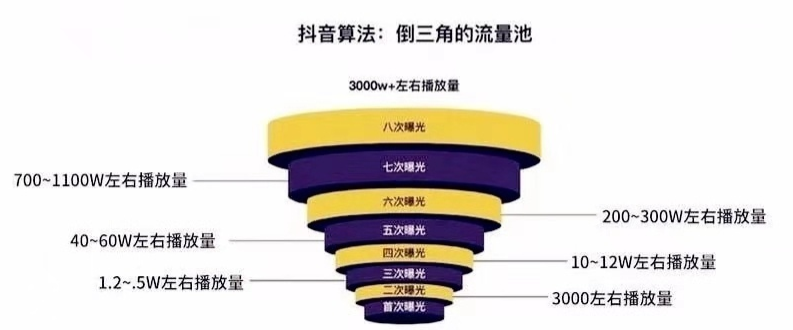 权重等级查询=权重等级和排名吗?又是怎样提升的吗?