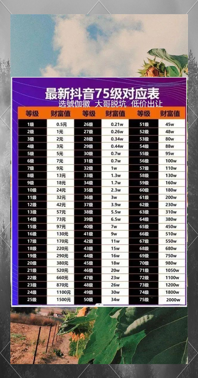 抖音怎么给自己升级粉丝