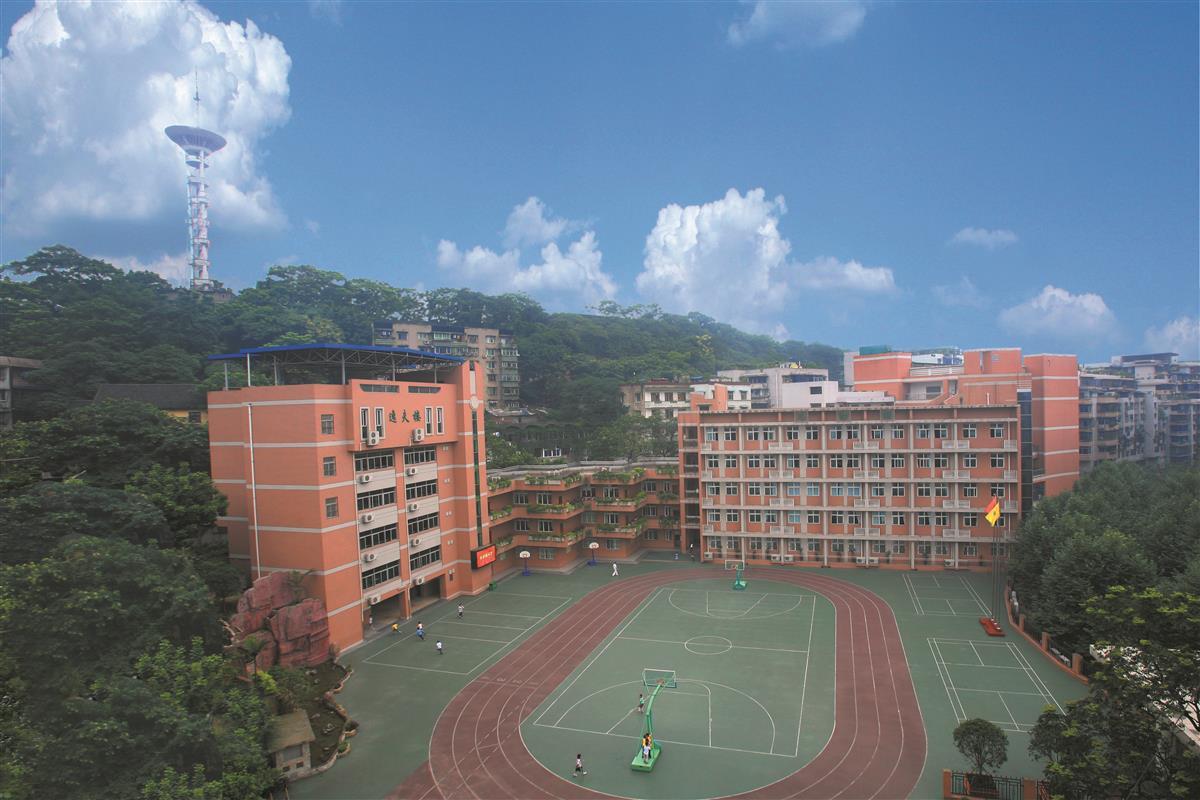 西川中学附属小学图片