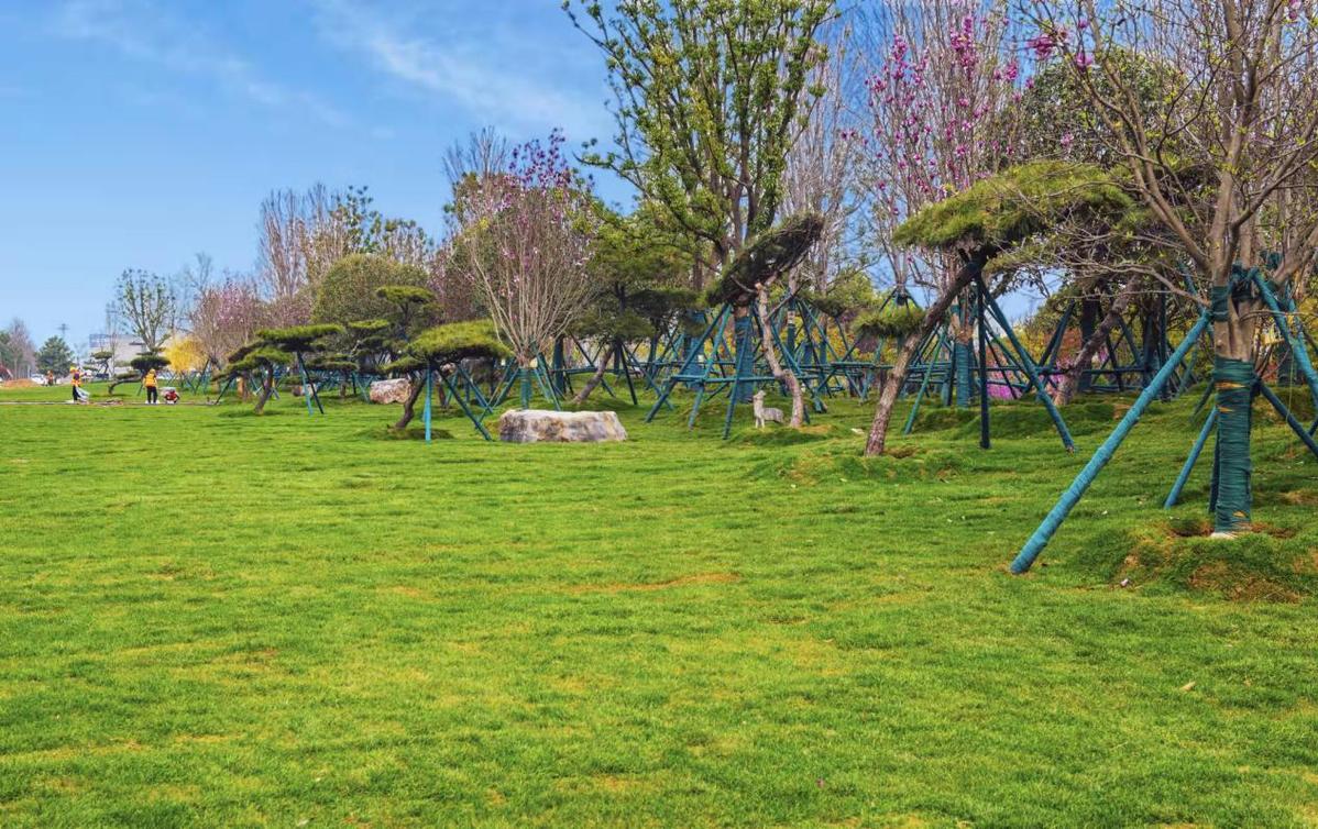 南阳市宛城区园林绿化升级 持续扮靓城市提颜值