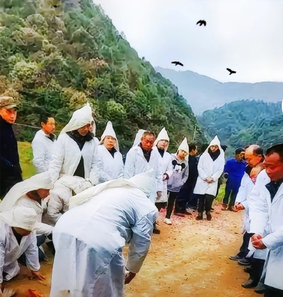 最美女孩申春玲 一人扛起一个家 供4个哥哥读书 历经磨难令人动容