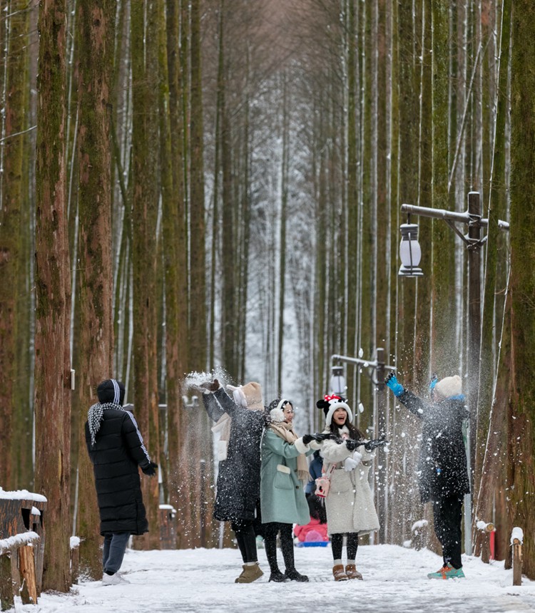 重庆看雪景点图片